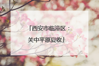 西安市临潼区：关中平原夏收