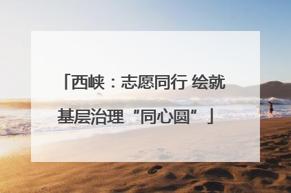 西峡：志愿同行 绘就基层治理“同心圆”