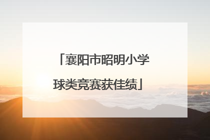 襄阳市昭明小学球类竞赛获佳绩