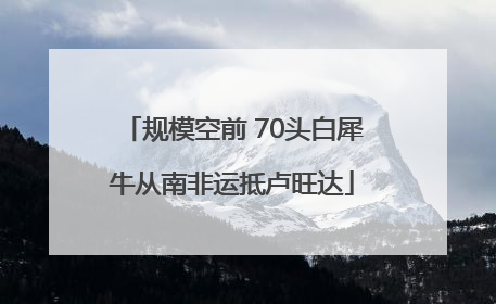 规模空前 70头白犀牛从南非运抵卢旺达