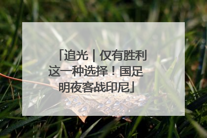 追光｜仅有胜利这一种选择！国足明夜客战印尼