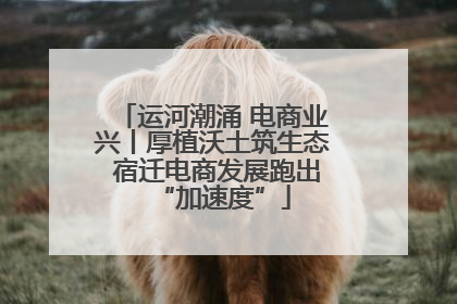 运河潮涌 电商业兴丨厚植沃土筑生态 宿迁电商发展跑出“加速度”