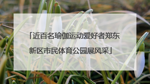 近百名瑜伽运动爱好者郑东新区市民体育公园展风采