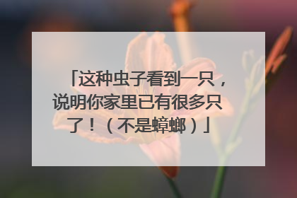 这种虫子看到一只，说明你家里已有很多只了！（不是蟑螂）