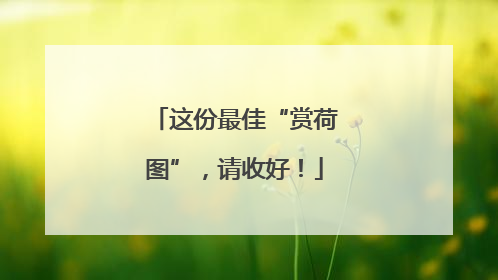 这份最佳“赏荷图”，请收好！