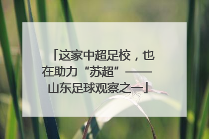 这家中超足校，也在助力“苏超”——山东足球观察之一