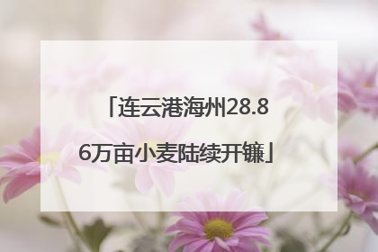连云港海州28.86万亩小麦陆续开镰
