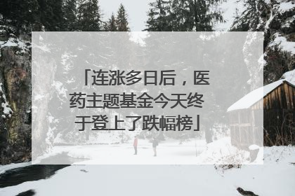 连涨多日后，医药主题基金今天终于登上了跌幅榜