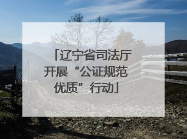 辽宁省司法厅开展“公证规范优质”行动