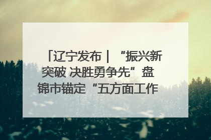 辽宁发布｜“振兴新突破 决胜勇争先”盘锦市锚定“五方面工作”力争全年地区生产总值增长5.5%左右