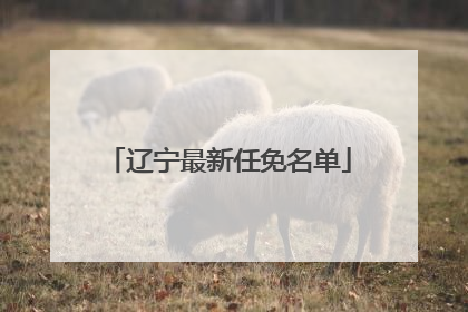 辽宁最新任免名单
