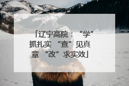 辽宁高院：“学”抓扎实 “查”见真章 “改”求实效