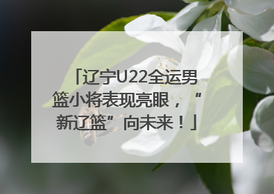 辽宁U22全运男篮小将表现亮眼，“新辽篮”向未来！