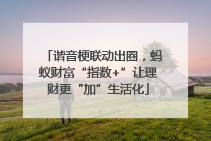 谐音梗联动出圈，蚂蚁财富“指数+”让理财更“加”生活化