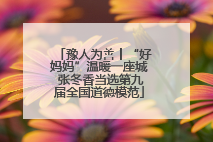 豫人为善丨“好妈妈”温暖一座城 张冬香当选第九届全国道德模范
