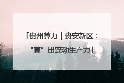 贵州算力｜贵安新区：“算”出蓬勃生产力