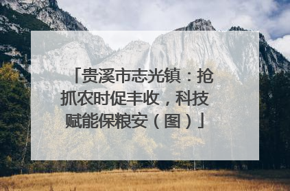 贵溪市志光镇：抢抓农时促丰收，科技赋能保粮安（图）