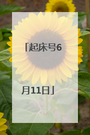 起床号6月11日