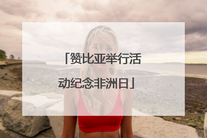 赞比亚举行活动纪念非洲日