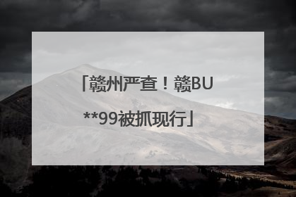 赣州严查！赣BU**99被抓现行