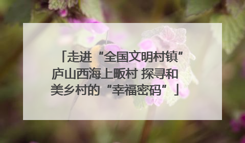 走进“全国文明村镇”庐山西海上畈村 探寻和美乡村的“幸福密码”