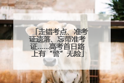走错考点、准考证遗落、忘带准考证……高考首日路上有“警”无险