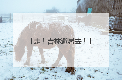 走！吉林避暑去！