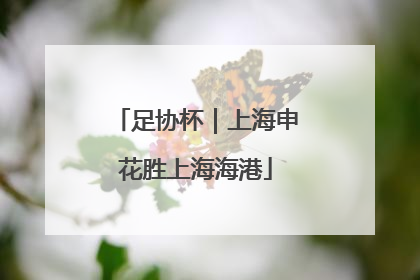 足协杯｜上海申花胜上海海港