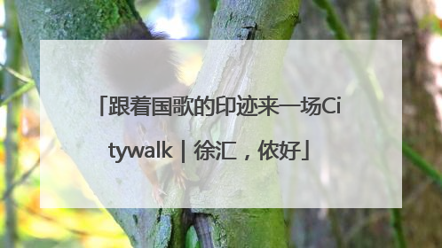 跟着国歌的印迹来一场Citywalk｜徐汇，侬好