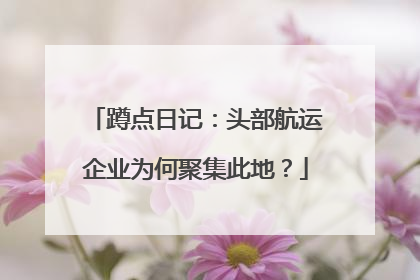 蹲点日记：头部航运企业为何聚集此地？