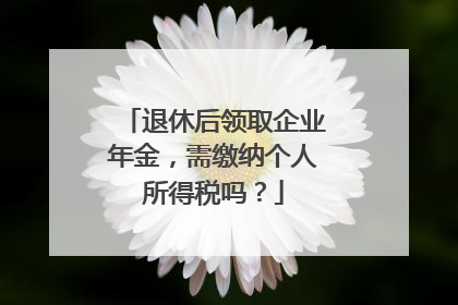 退休后领取企业年金，需缴纳个人所得税吗？