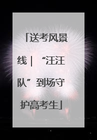 送考风景线｜“汪汪队”到场守护高考生