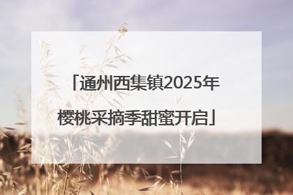 通州西集镇2025年樱桃采摘季甜蜜开启