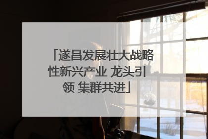 遂昌发展壮大战略性新兴产业 龙头引领 集群共进