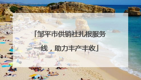 邹平市供销社扎根服务一线，助力丰产丰收