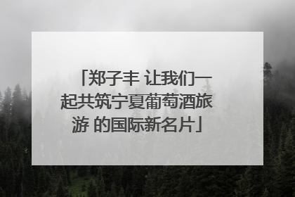 郑子丰 让我们一起共筑宁夏葡萄酒旅游 的国际新名片