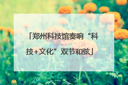 郑州科技馆奏响“科技+文化”双节和弦