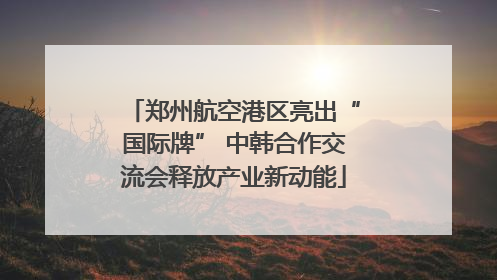 郑州航空港区亮出“国际牌” 中韩合作交流会释放产业新动能