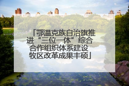 鄂温克族自治旗推进“三位一体”综合合作组织体系建设 牧区改革成果丰硕