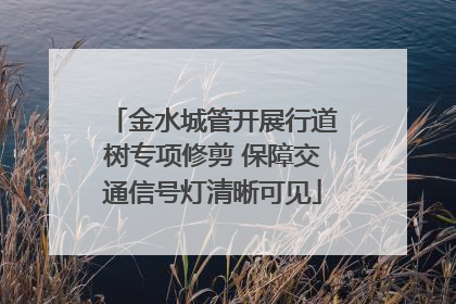 金水城管开展行道树专项修剪 保障交通信号灯清晰可见