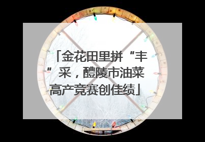 金花田里拼“丰”采，醴陵市油菜高产竞赛创佳绩