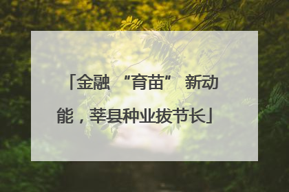 金融 “育苗” 新动能，莘县种业拔节长
