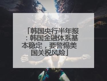 韩国央行半年报：韩国金融体系基本稳定，要警惕美国关税风险