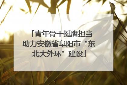 青年骨干挺膺担当 助力安徽省阜阳市“东北大外环”建设