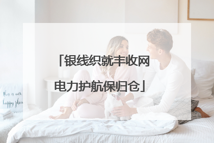 银线织就丰收网 电力护航保归仓
