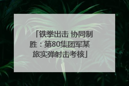 铁拳出击 协同制胜：第80集团军某旅实弹射击考核