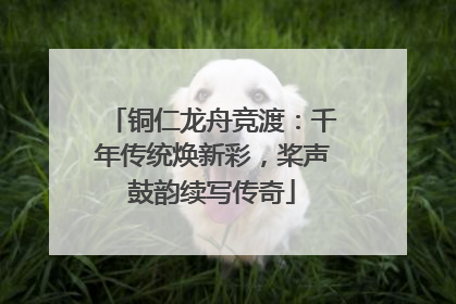 铜仁龙舟竞渡：千年传统焕新彩，桨声鼓韵续写传奇
