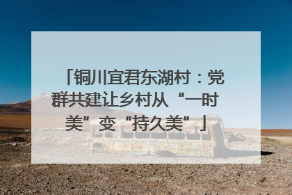 铜川宜君东湖村：党群共建让乡村从“一时美”变“持久美”