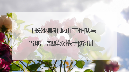 长沙县驻龙山工作队与当地干部群众携手防汛