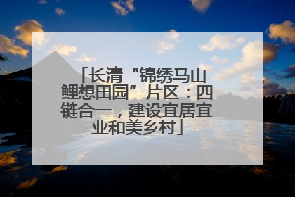 长清“锦绣马山 鲤想田园”片区：四链合一，建设宜居宜业和美乡村